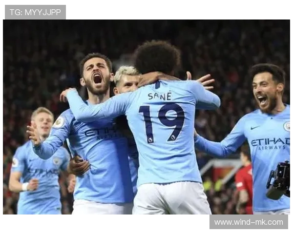 萨内未来发展方向明确,聚焦技术创新与可持续发展