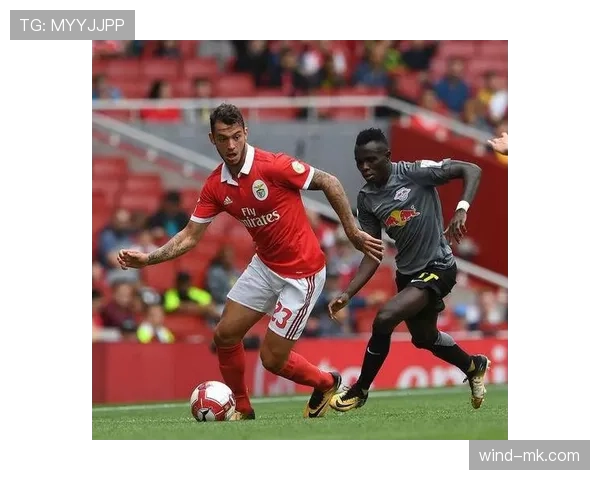 本菲卡强势连胜,状态回暖引关注 本菲卡强势连胜,状态回暖引关注