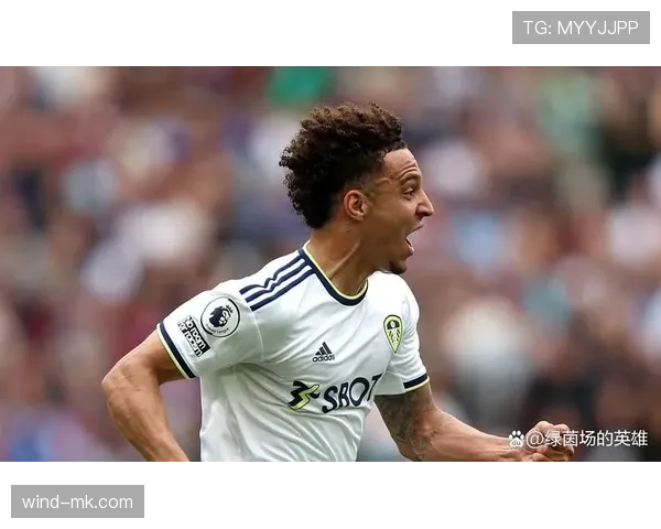爱尔兰球员加盟英超表现分析：新星登陆顶级联赛引发关注